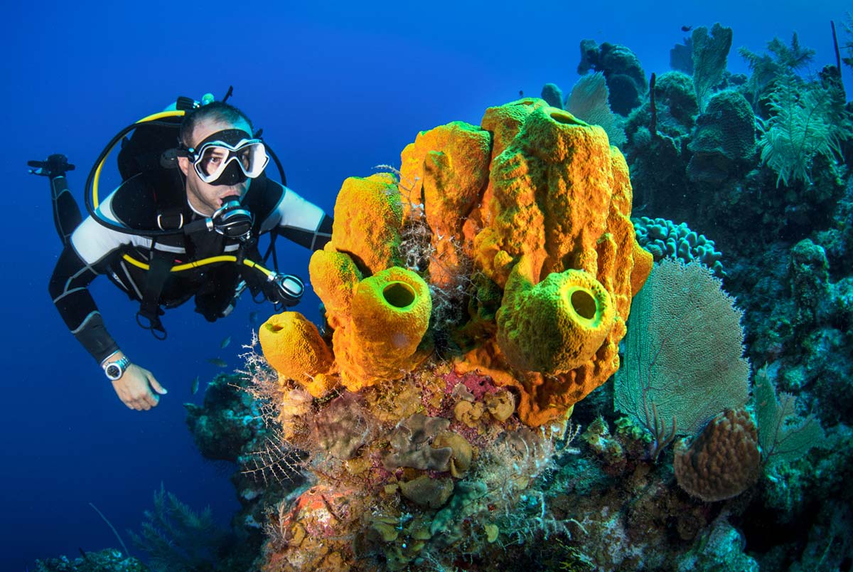 Scuba-Diving-Belize-4